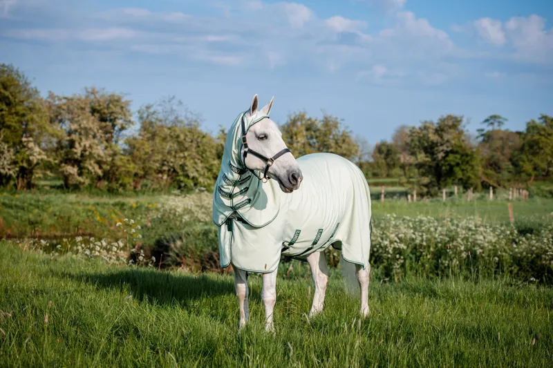 Rambo Hoody XL Fly/Sweet Itch Rug Green/Sage/Beige/Green